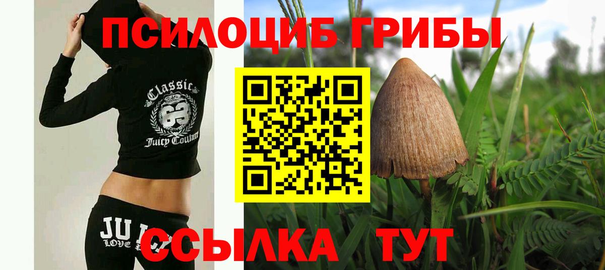 Галлюциногенные грибы мухоморы  Псилоцибиновые грибы MAGIC MUSHROOMS  Кимовск  Вход с VPN 