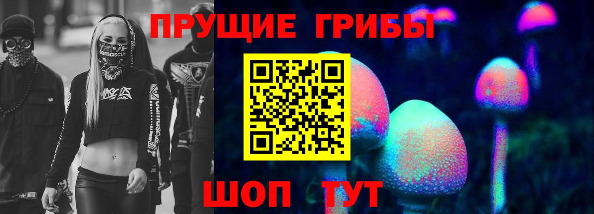 Псилоцибиновые грибы Psilocybine cubensis Кимовск